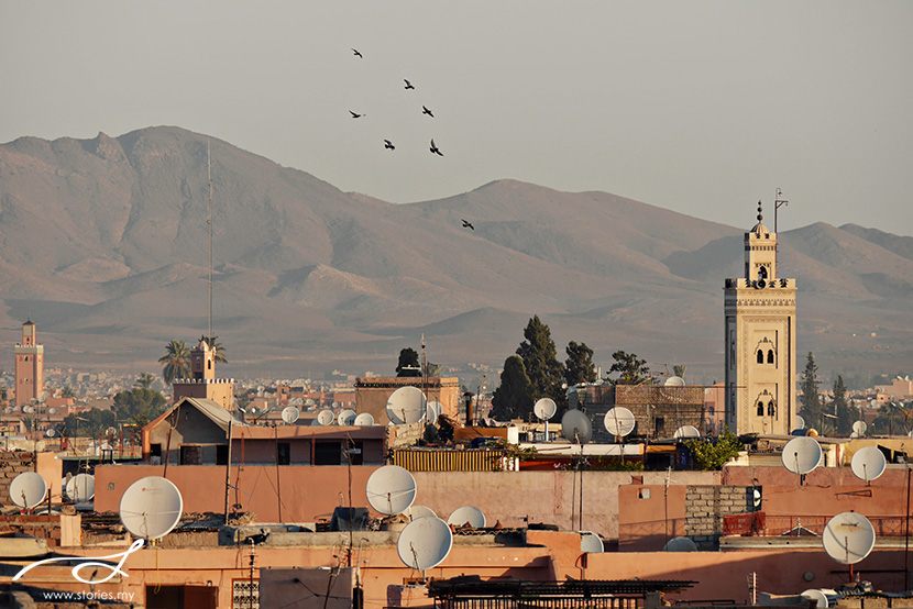 20131029_Marrakech_435