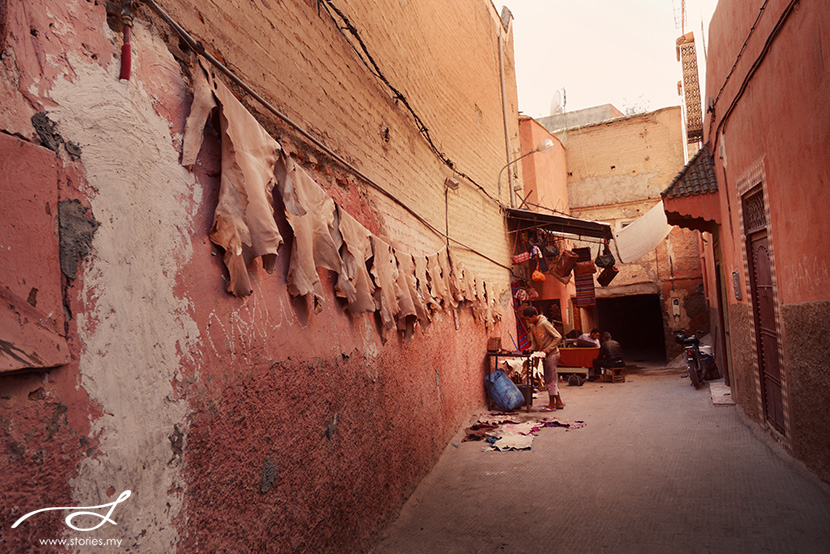 20131029_Marrakech_467