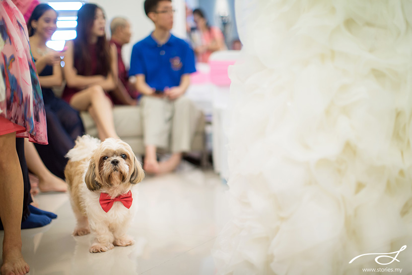 20150704_WEDDING_WEIZHEN_JACLYN_254